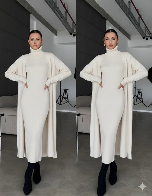 Cozy Chic Bodycon Dress
